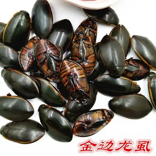 金边龙虱干货中药材250克 水蟑螂 水鳖虫 射尿龟 水龟子打粉【图片