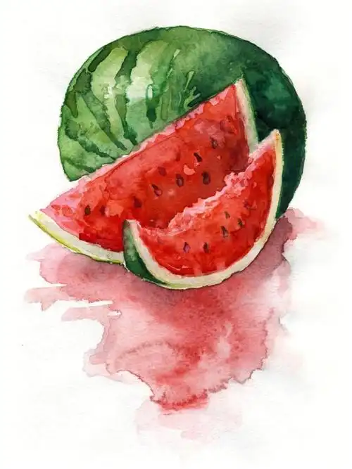 水彩插画简单水果