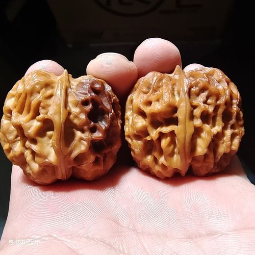 云铁核桃高密度,一物一图,天然野生核桃,龙甲元宝文玩桃核