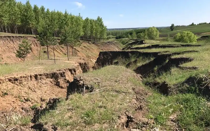 黑土地侵蚀沟50年平均发育速率达每年15至25米