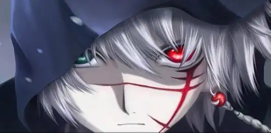 盘点动漫十大银发美男第一你肯定猜不到