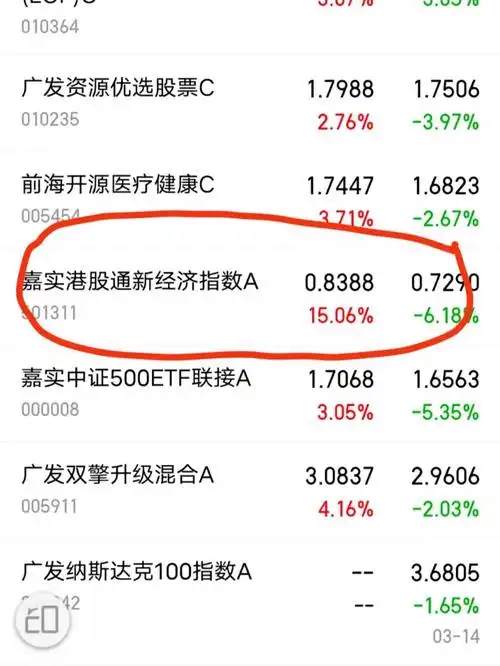 第一次见基金涨这么多