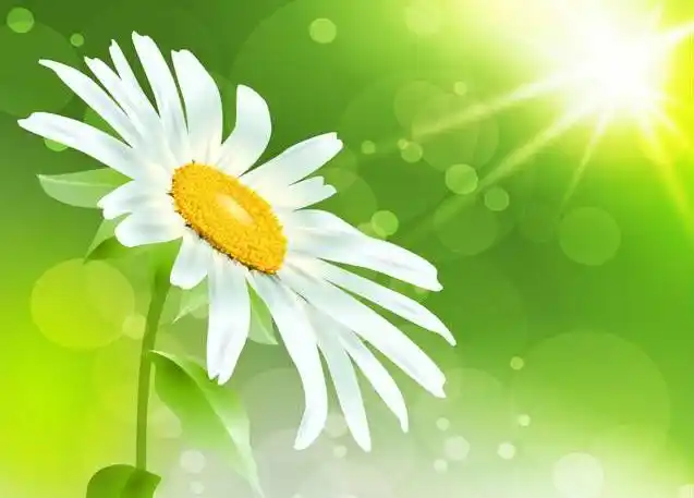 爱笑天使希望你是发自内心的笑出来