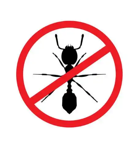 遂宁蓝盾有害生物为您讲解土白蚁的防治方法