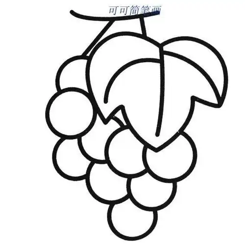 蔬菜简笔画 怎样画葡萄 怎样画葡萄,幼儿水果简笔画教程,关于葡萄的简