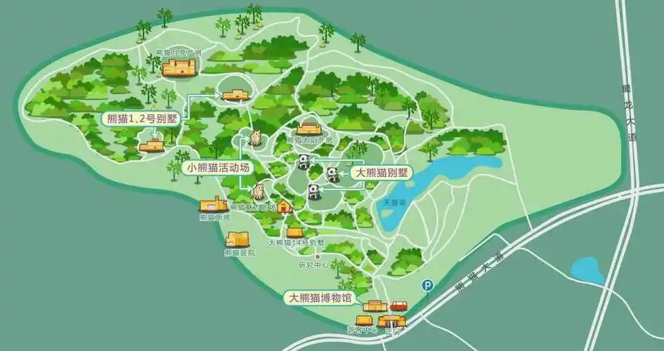 成都day5-熊猫基地