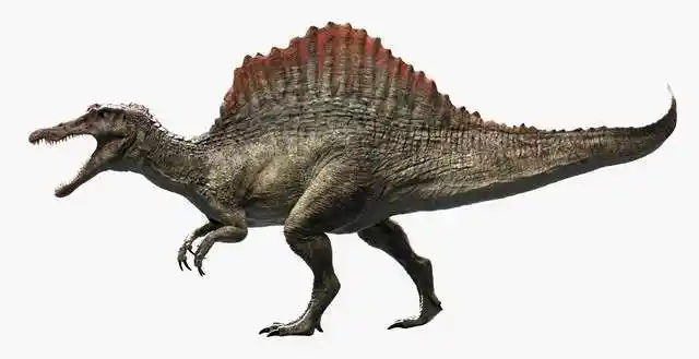 史前十大巨兽一个比一个凶猛甚至有一种还存活于海洋