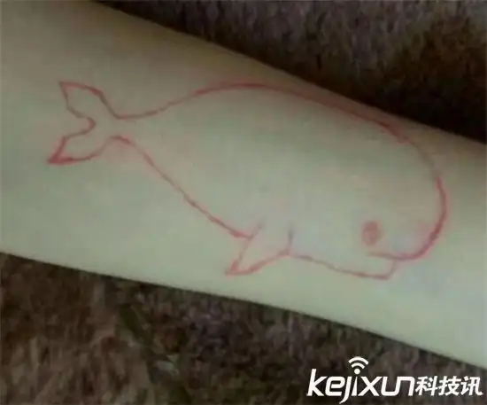 死亡游戏蓝鲸50个指令你不知道的蓝鲸游戏死亡图案