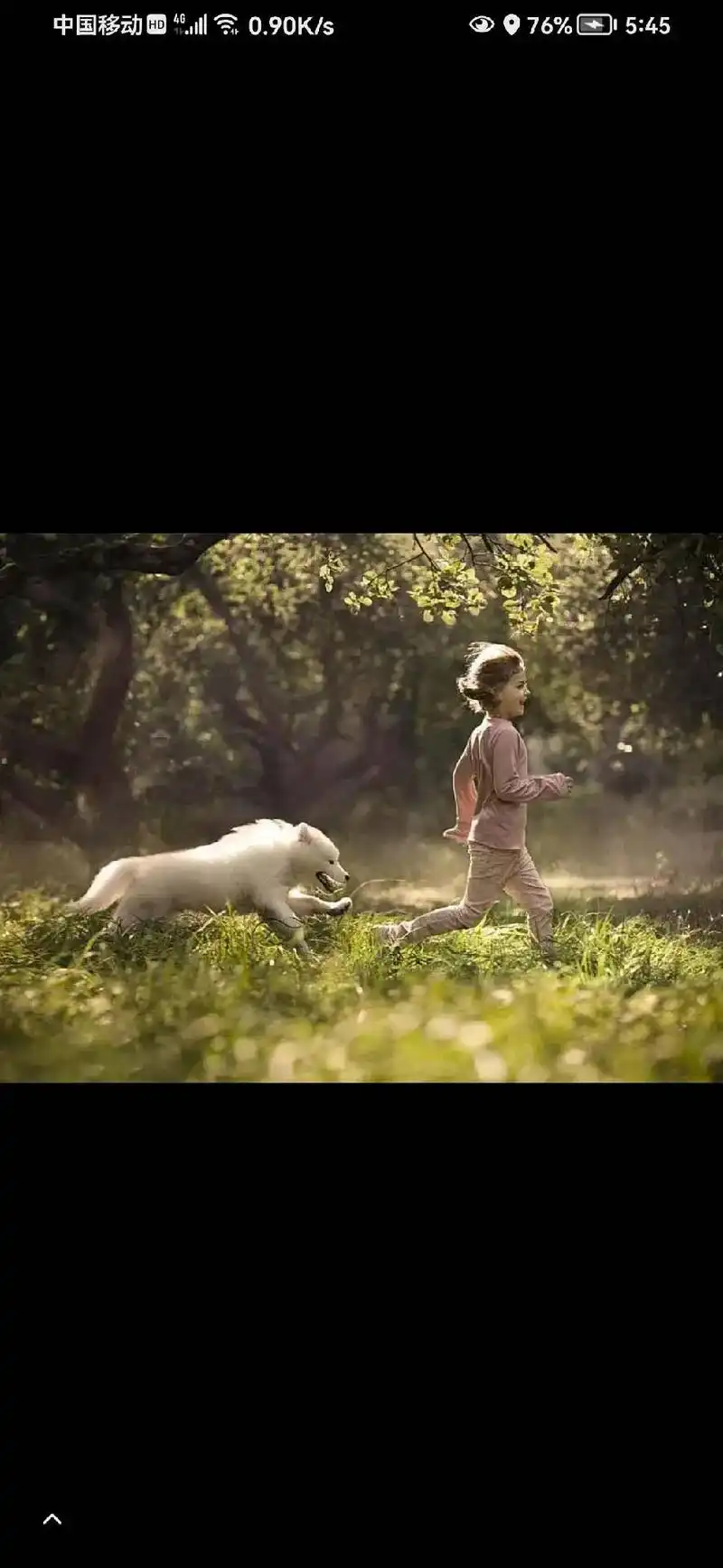 动物和人的的和谐相处 - 抖音