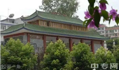 重庆云阳双江中学校园图片,环境怎么样?