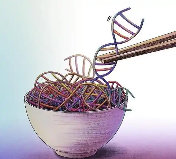 科学认知转基因技术