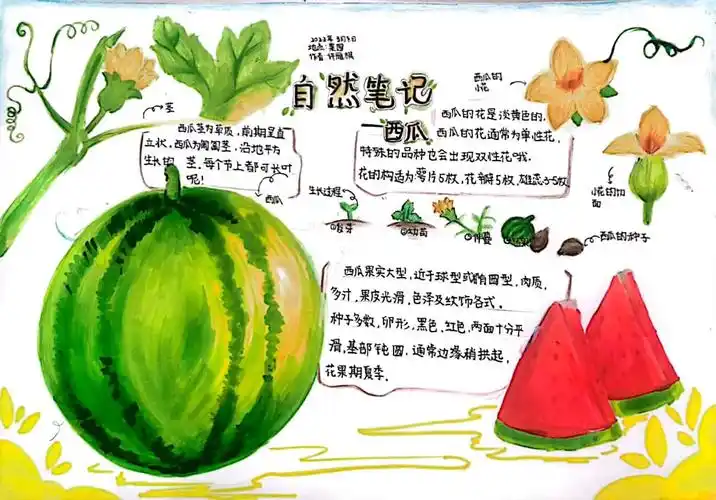 自然笔记优秀作品征集