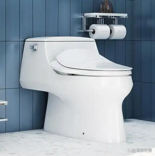 科勒圣拉菲尔连体座便器,五级旋风冲力强劲,五星级洁净体验