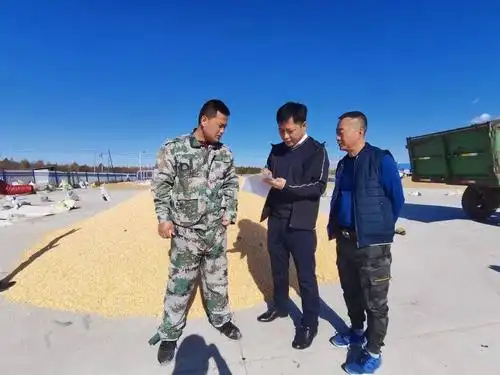 饶河农场有限公司党委多措并举全力打好秋收攻坚战