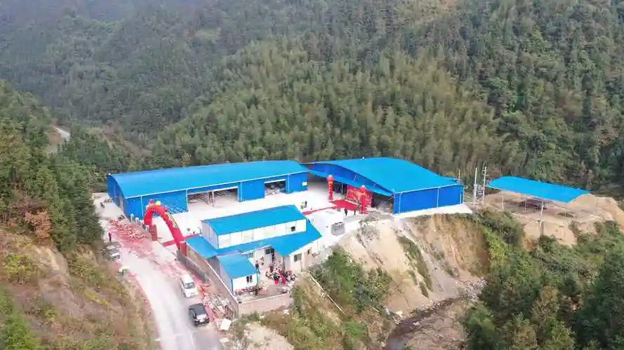 竹业网站建设_(竹子建站seo设置怎么做)