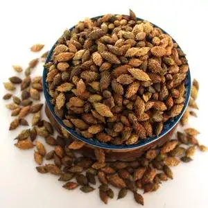 炒苍耳子包邮 500g中药材店铺仓耳子 苍耳子茶泡脚正品中草药