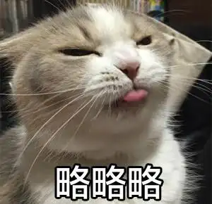 猫咪 可爱 呆萌 斗图 略略略