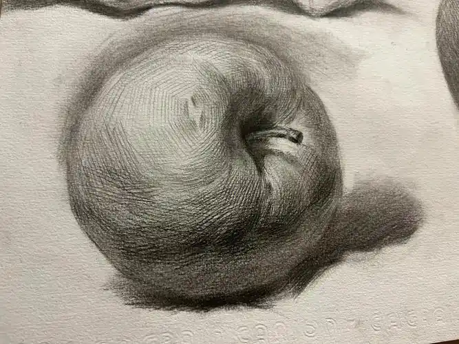 美术生  ##画画  #苹果  #素描