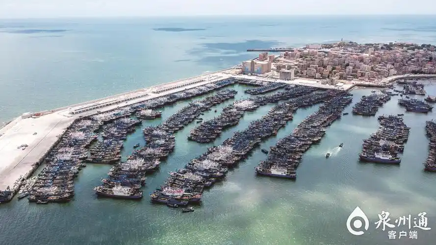 祥芝国家中心渔港获评全国文明渔港