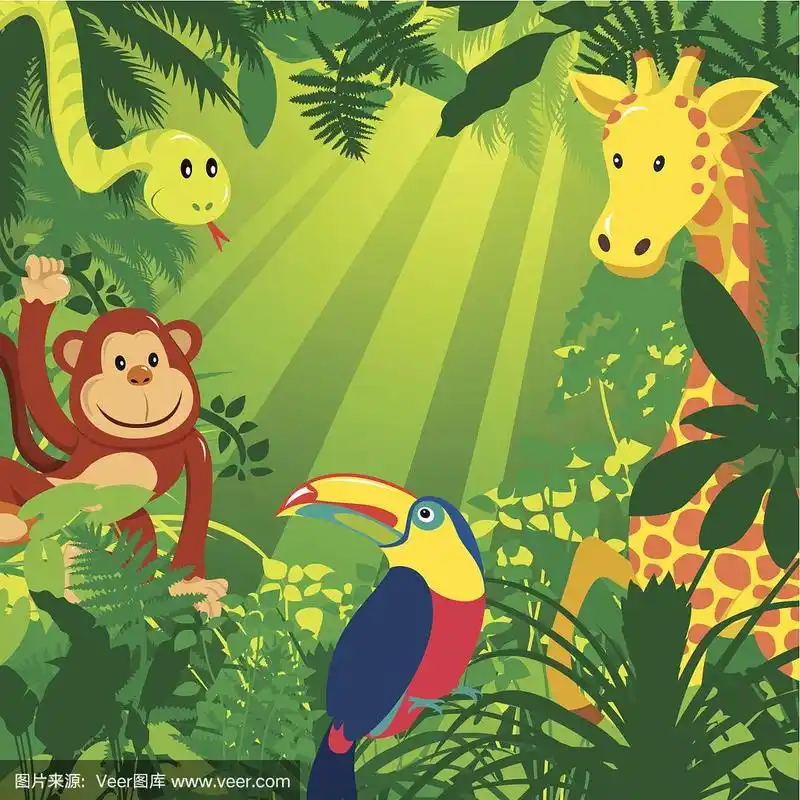 动物主题,热带雨林,动物,热带气候,森林