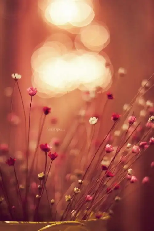 只有真切的哭过,绝望的累过,钻心的痛过,无言的悔过,此生方算700_1050