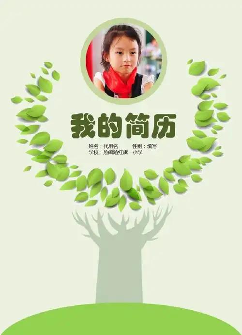 小升初简历模板ppt