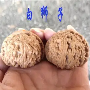 文玩核桃白狮子头纹路粗壮矮桩易上色浅纹理核桃新手推荐