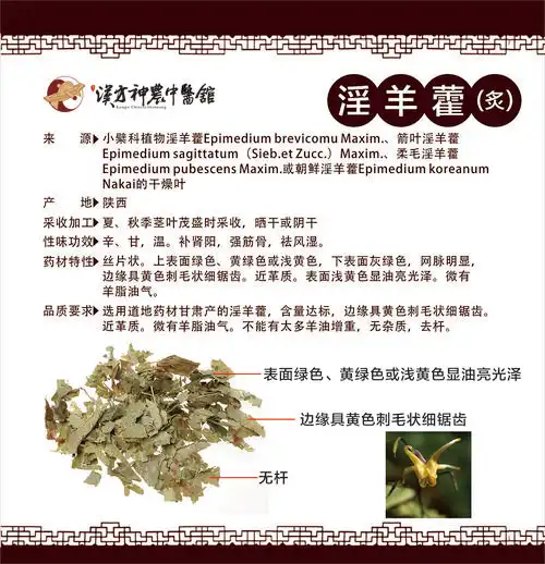 株洲优质中药药材鉴别淫羊藿炙