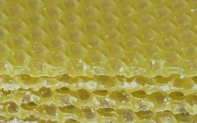 巢础的参考价格及使用方法