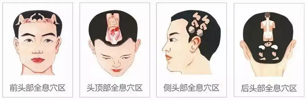 头部全息元以腕踝为脐,手掌,足掌为胸,手指,脚趾为头的"