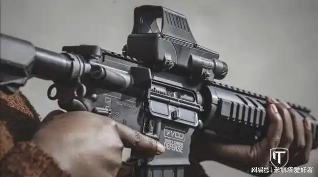 法国产ar15突击步枪