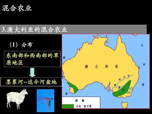 澳大利亚的混合农业 (1)分布 东南部和西南部的草 原地区 墨累河