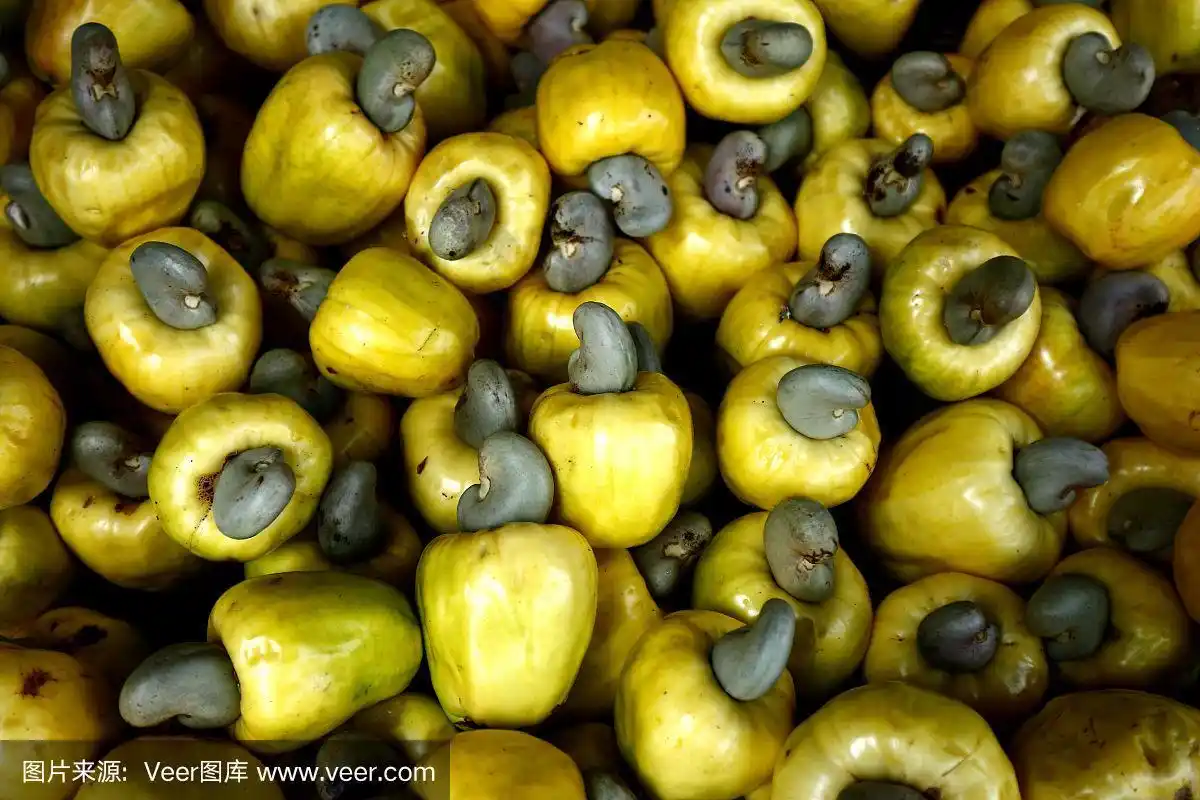 新鲜成熟的腰果