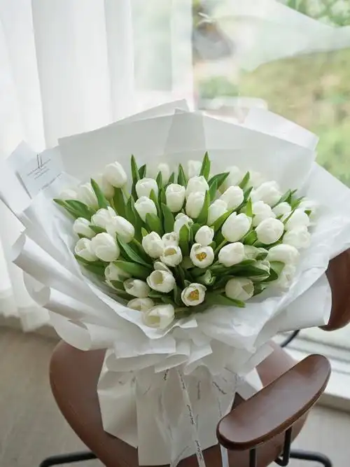 52朵白色郁金香花束