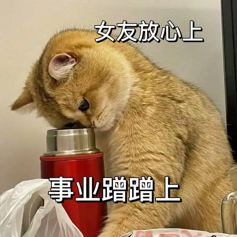怎么宠 微信还是支付宝#猫咪表情包 #情侣日常 # - 抖音