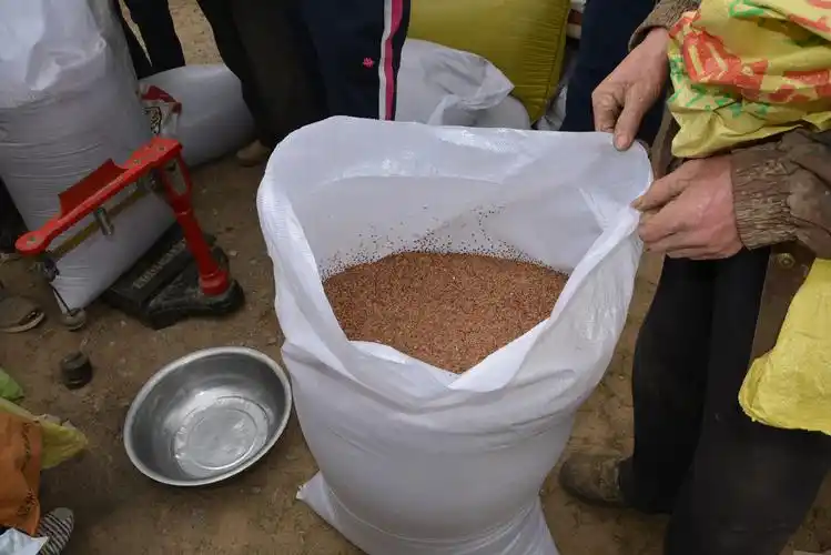 春耕季节捐籽种 帮扶行动暖人心