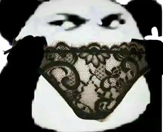 香香的内裤 - 斗图表情包 - 斗图神器 - adoutu.com