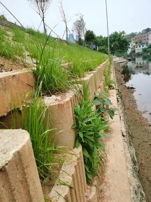 江西自嵌式植生挡土墙六角砖四联生态护坡仿松木桩