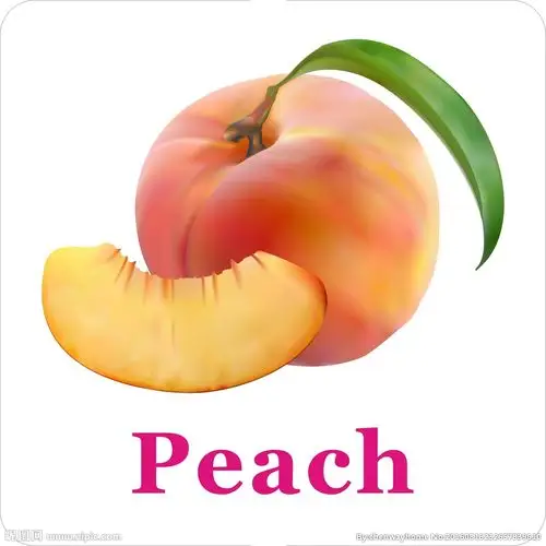卡通水果桃子加英文名称图片