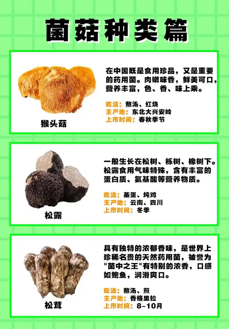 常见可食用蘑菇菌菇都有哪些?食用蘑菇需 - 抖音