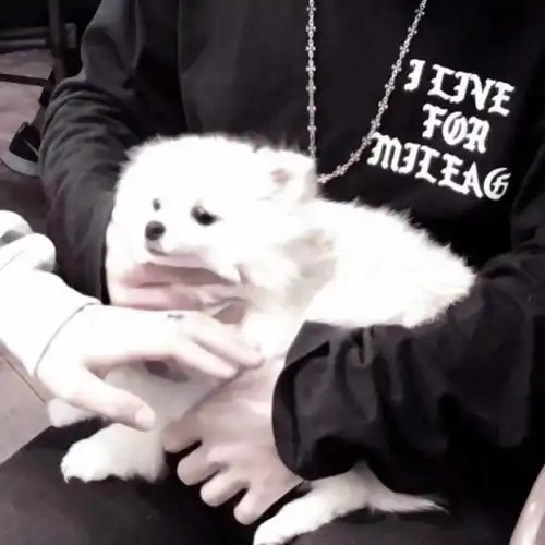 女友不是人系列情头