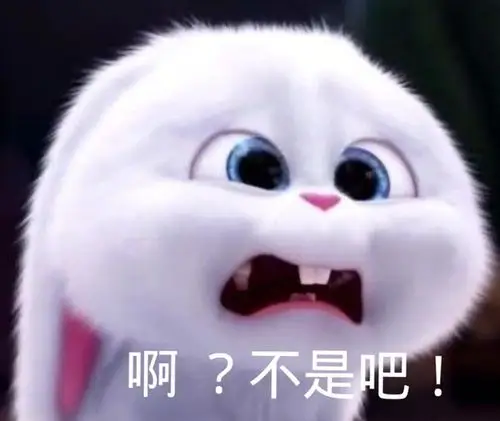 氵爱宠大机密表情包