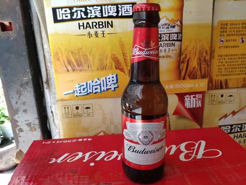 百威236ml啤酒迷你小瓶24瓶装江浙沪包邮啤酒