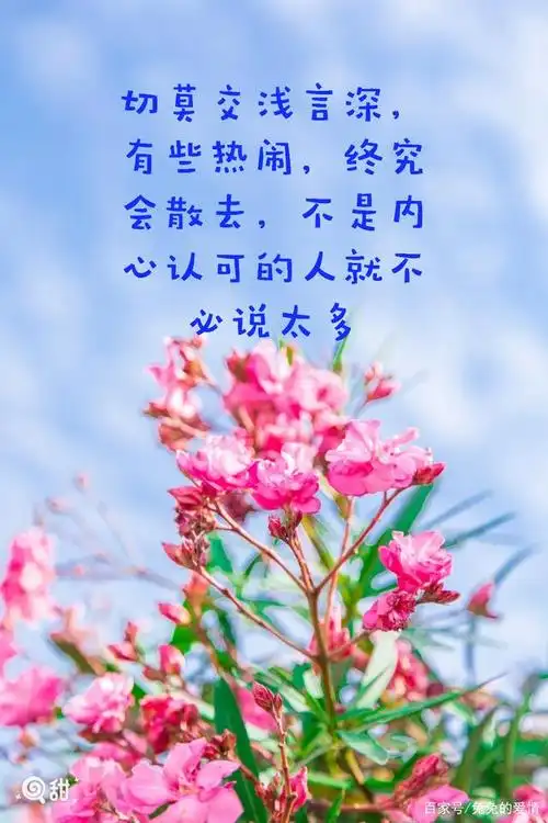 最美走心图文分享