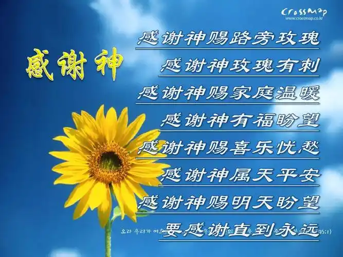感谢神ppt