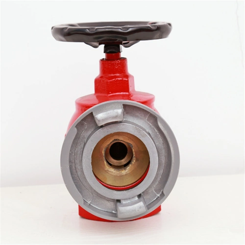 消火栓sn65消防栓头dn65沟槽式室内消火栓普通栓室内栓头dn50