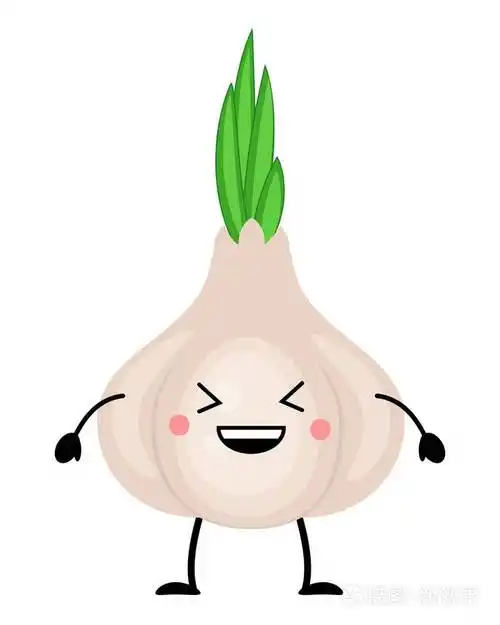 白炭素的扁平型大蒜矢量图解插画-正版商用图片0pvq21-摄图新视界