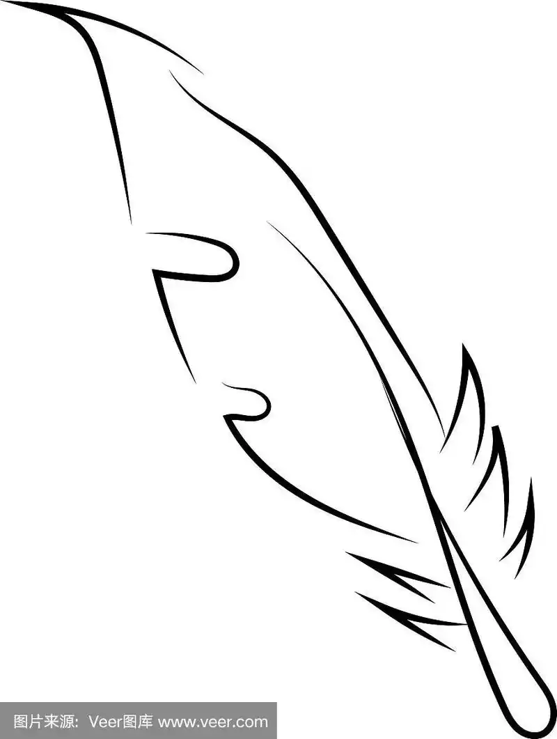 白色背景上的羽毛素描