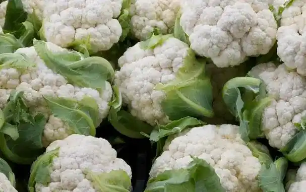 有机花菜大量上市 - 抖音