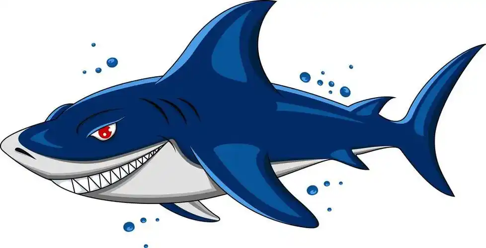 愤怒的鲨鱼,愤怒的鲨鱼矢量插画